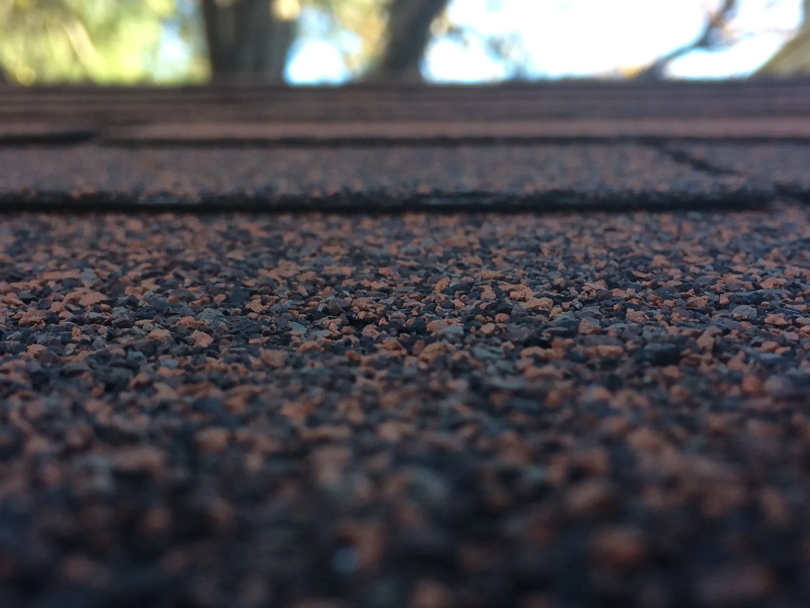 Low-angle macro of asphalt roof shingles showing the dark granule texture and shingle courses, with trees blurred in the background.