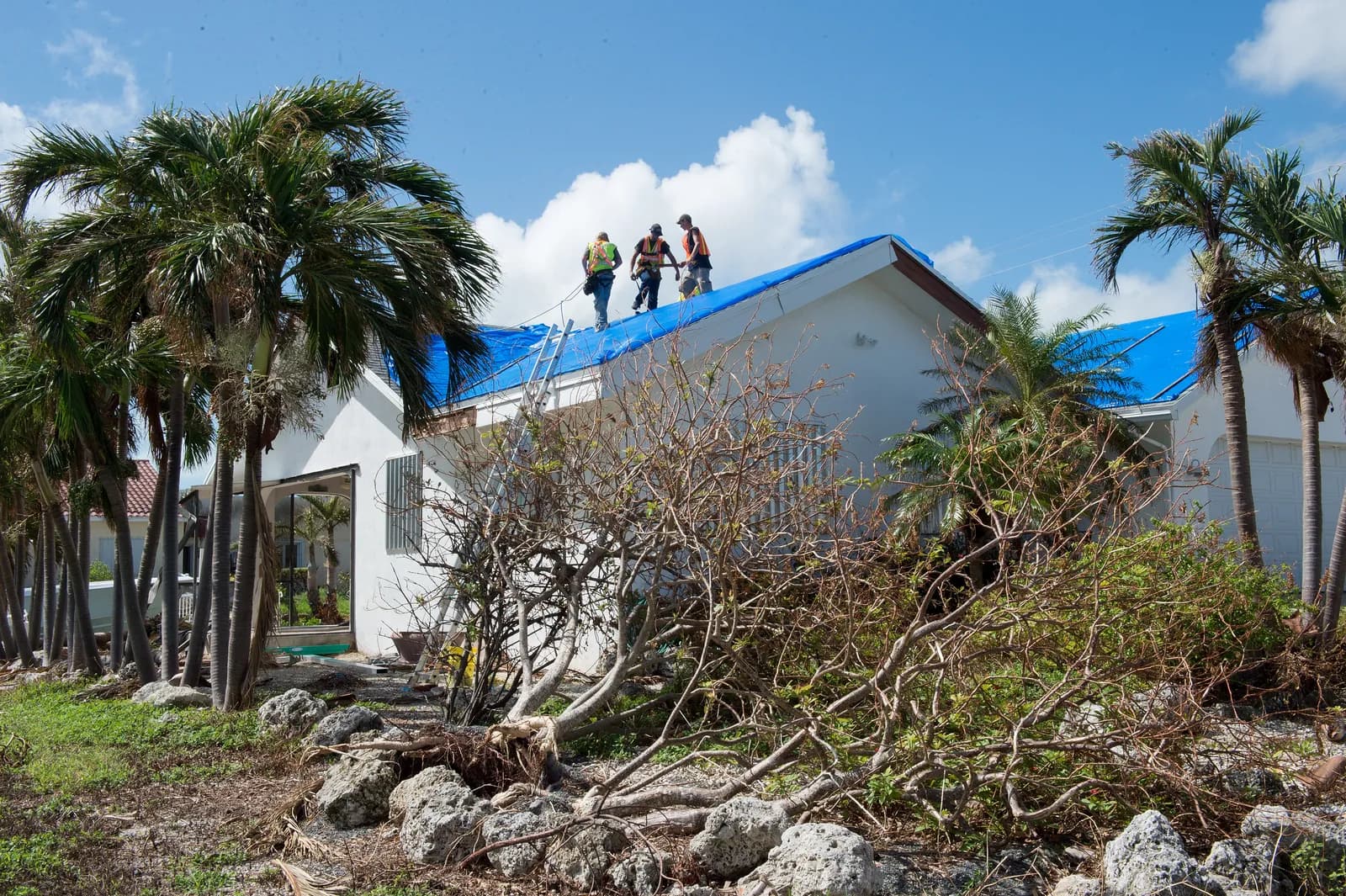 Workers installing a blue emergency tarp on the roof of a white Florida Keys home after a hurricane, with toppled trees and storm debris in the yard.